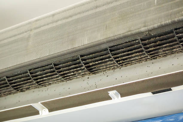 Best Dryer Vent Cleaning Services  in Bridgman, MI